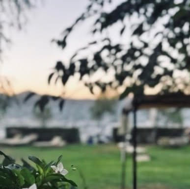 Natura e ambiente Viva Bracciano